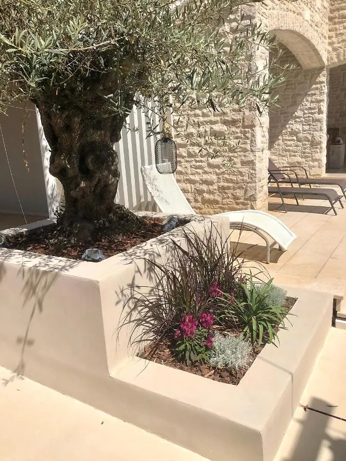 Villa Tiego Medulin